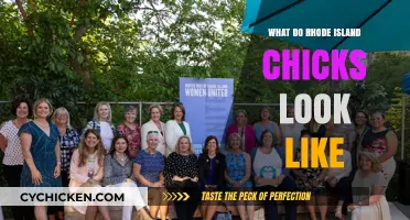 Exploring the Unique Charm of Rhode Island's Female Residents