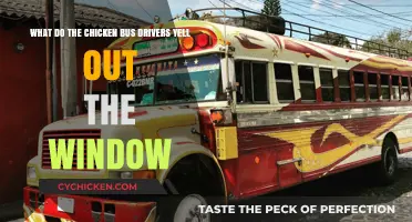 Shouting Chicken Bus Drivers: What's All the Fuss About?