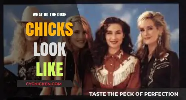 Exploring the Dixie Chicks: A Visual Journey Through Their Style