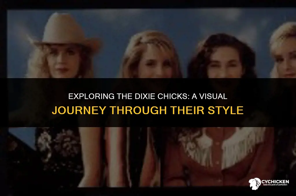 what do the dixie chicks look like