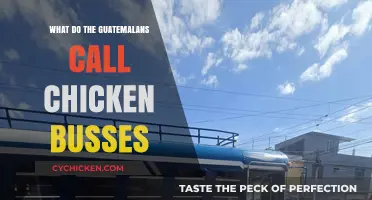 Guatemala's Colorful Chicken Buses: Local Names and Cultural Significance