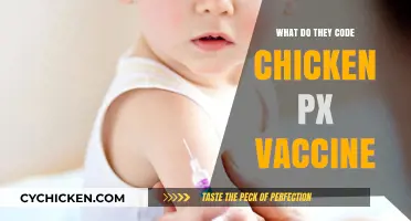 Decoding the Chicken Pox Vaccine: Ingredients, Development, and Effectiveness