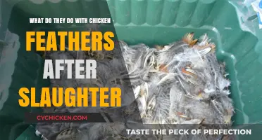 The Chicken Feather's Fate: A Slaughterhouse Mystery