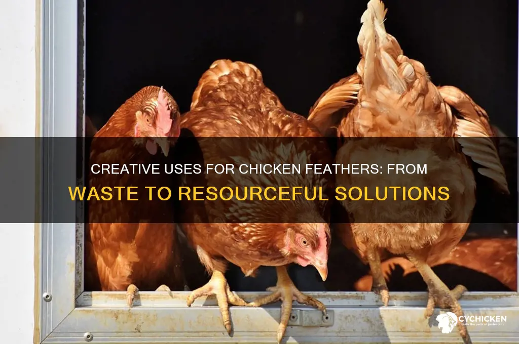 what do they do with chicken feathers