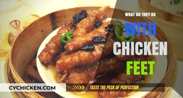 What Happens to Chicken Feet? Surprising Uses Explained