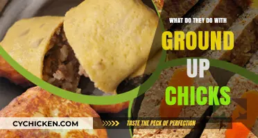 Ground-Up Chicks: Uncovering the Surprising Uses in Industry and Agriculture