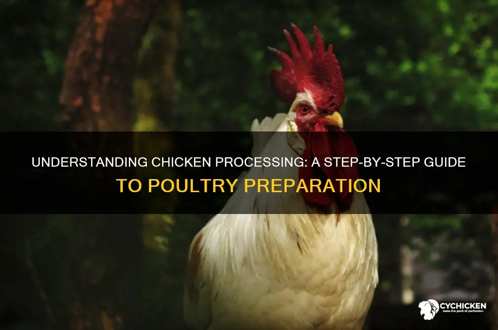 what do they mean by processing a chicken