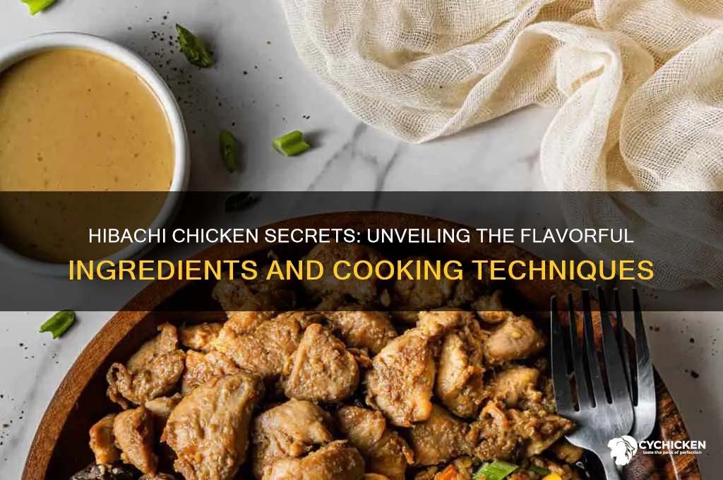what do they put on hibachi chicken