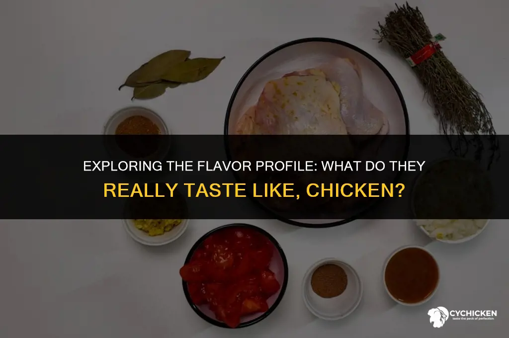 what do they taste like chicken