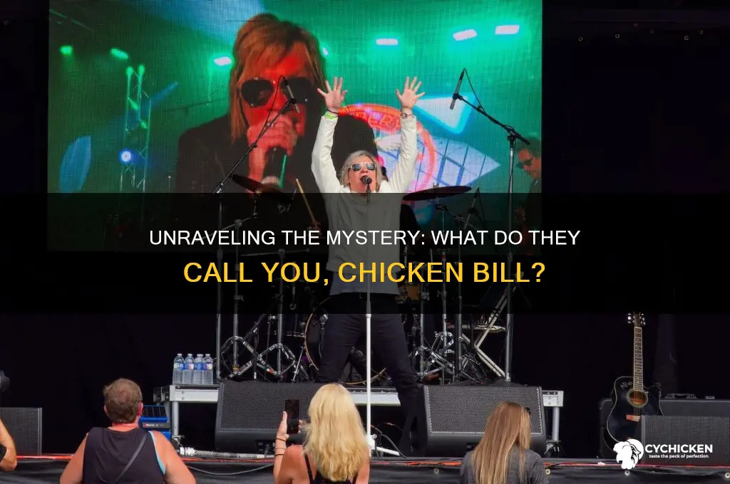 what do thry csll you chicken bill song