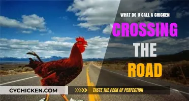 Why Did the Chicken Cross the Road?