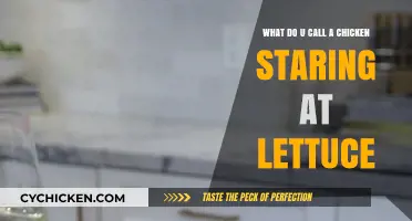 Why Do Chickens Stare at Lettuce?
