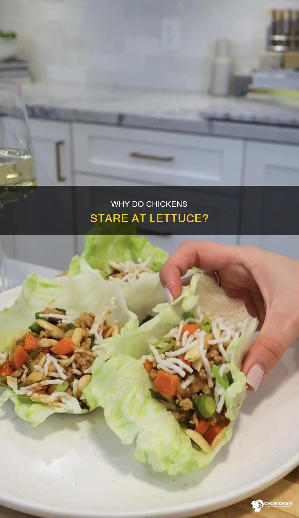 what do u call a chicken staring at lettuce