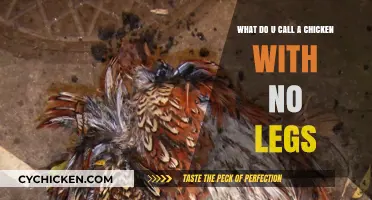 The Legless Chicken Conundrum: What's in a Name?