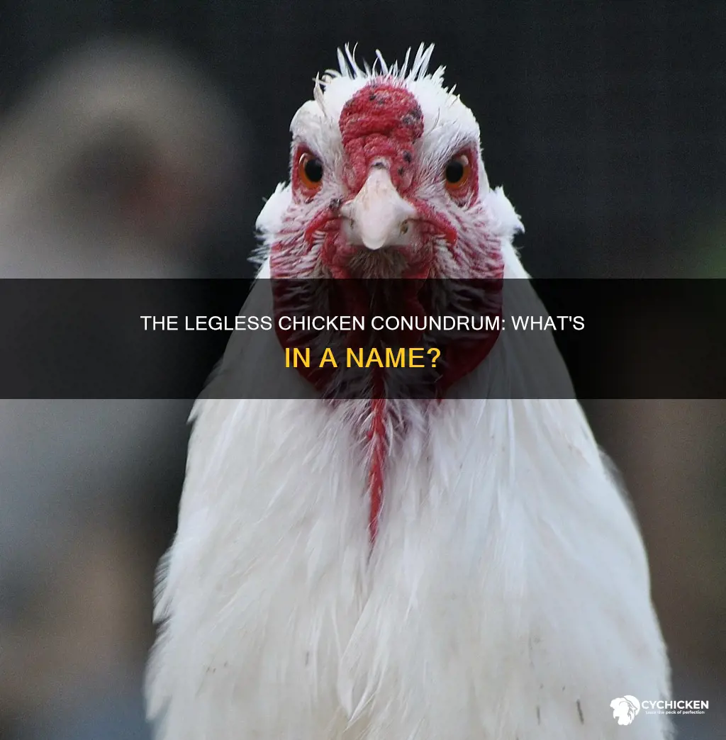 what do u call a chicken with no legs