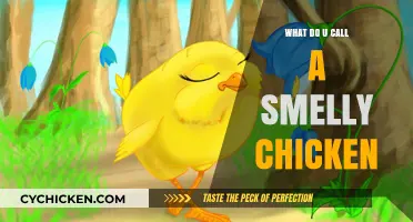 What’s the Name for a Smelly Chicken? Uncovering the Quirky Term