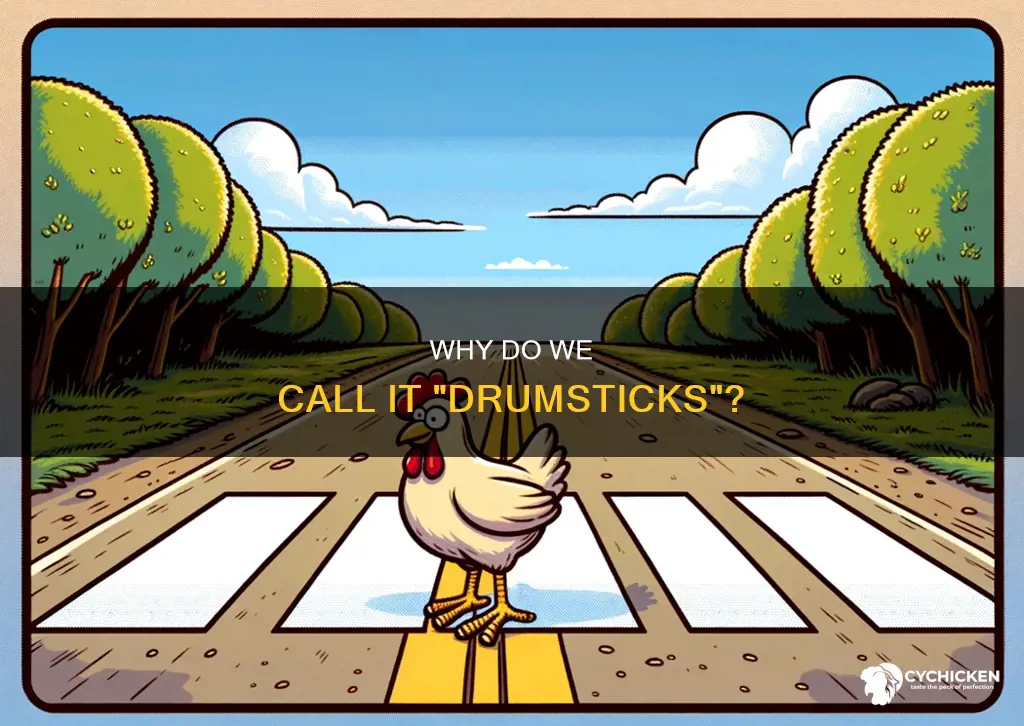 what do u call the part of the chicken joke