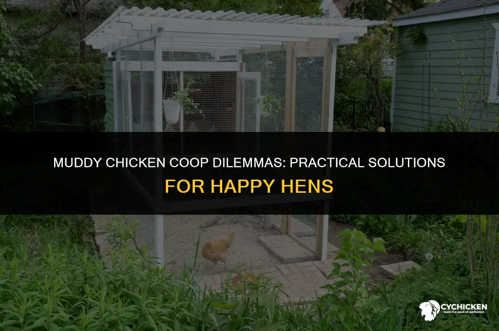 what do u do for a muddy chicken coop
