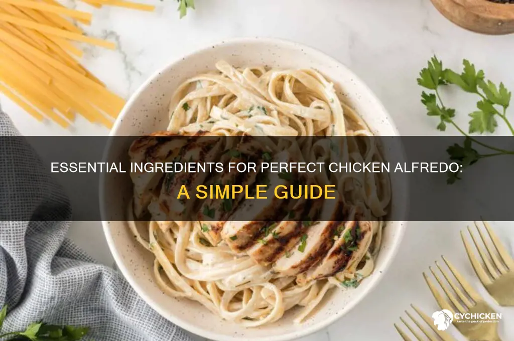 what do u need for chicken alfredo