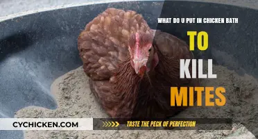 Natural Treatments to Kill Mites in Chicken Baths