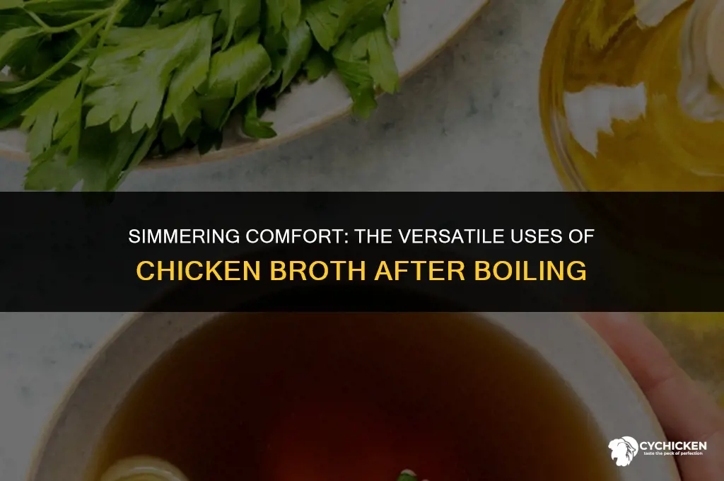 what do w chicken broth after boiling