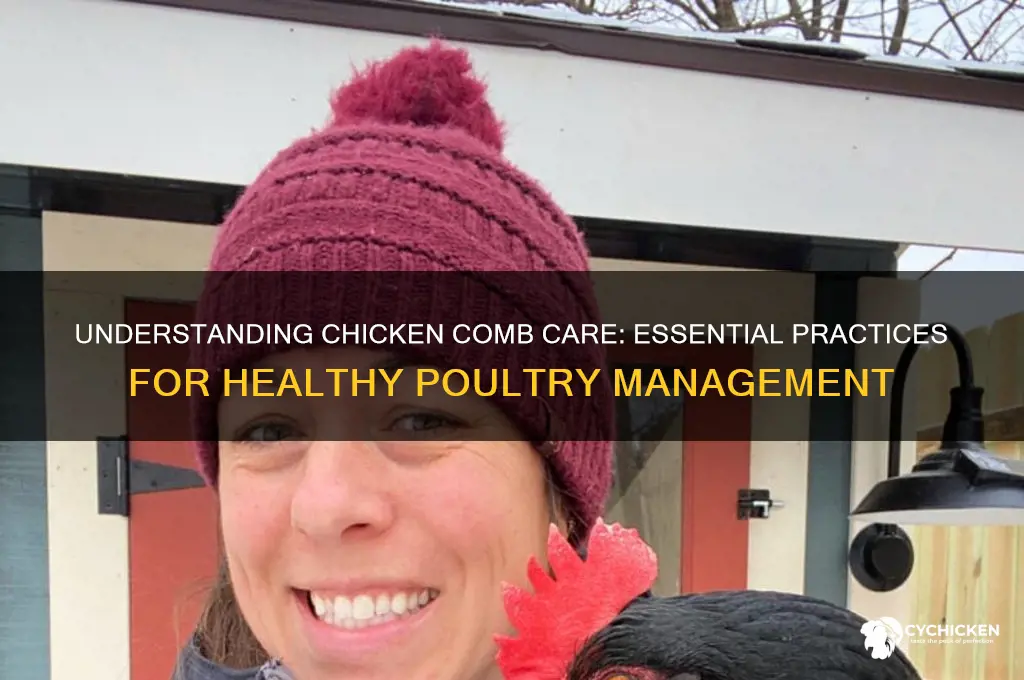 what do we do to a chicken comb