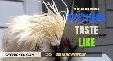 Exploring the Unique Flavor of Wet Chicken Feathers: A Culinary Adventure