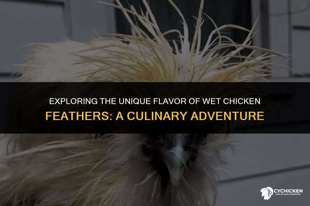 what do wet chicken feathers taste like