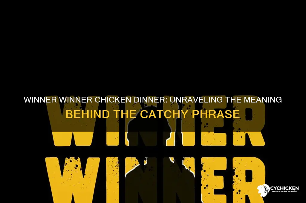 what do winner winner chicken dinner mean
