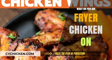 Air Fryer Chicken: Perfect Temperature, Time, and Tips for Crispy Results