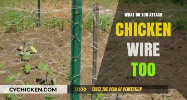 Secure Fencing Solutions: What to Attach Chicken Wire To for Optimal Protection