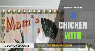 How to Safely Bathe Your Chicken: Essential Tips and Products