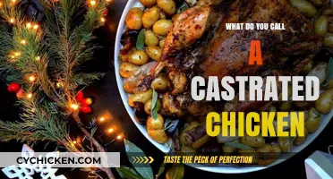 Capon: The Surprising Name for a Castrated Chicken Explained