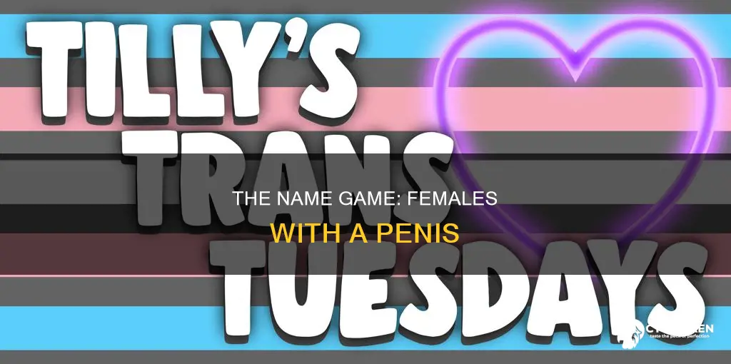 what do you call a chick with a penis