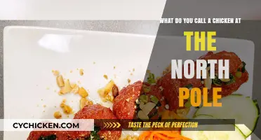 The North Pole's Chicken: What's in a Name?