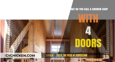 Multi-Door Marvels: The Ultimate Guide to Chicken Coop Design