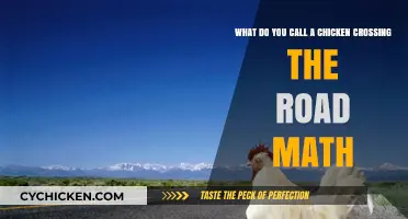 Why Did the Chicken Cross the Road?