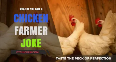 Clucking Hilarious: Uncovering the Joke About Chicken Farmers