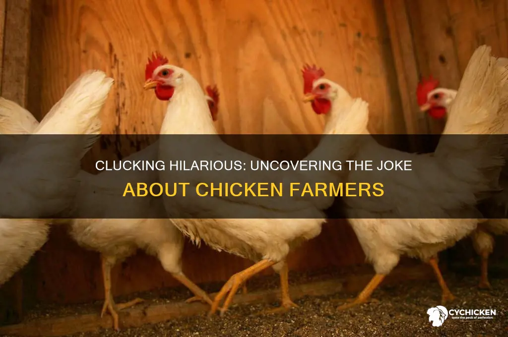what do you call a chicken farmer joke