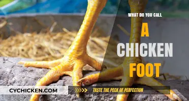What’s the Name for a Chicken Foot? Uncovering the Unique Term