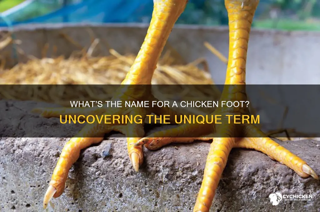 what do you call a chicken foot