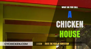 What’s the Proper Name for a Chicken House? A Quick Guide