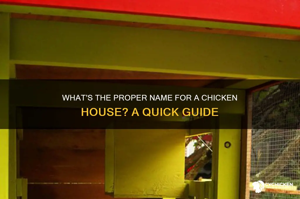 what do you call a chicken house