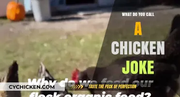 Clucking Hilarious: Uncovering the Perfect Name for Chicken Jokes