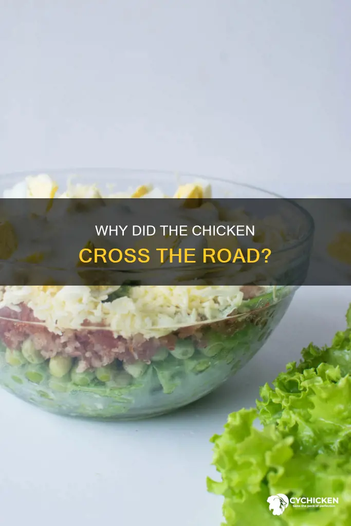 what do you call a chicken looking at lettuce joke