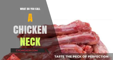 Unveiling the Quirky Name for a Chicken's Neck: A Poultry Puzzle