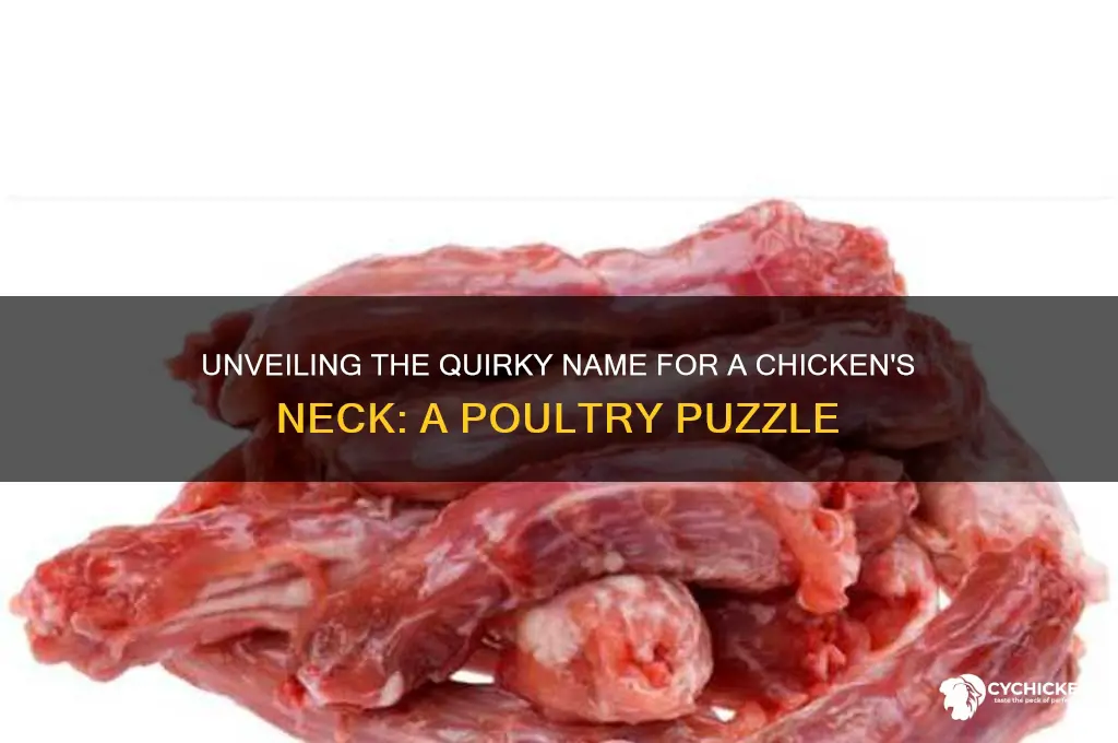 what do you call a chicken neck
