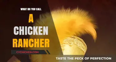 What’s the Right Term for a Chicken Rancher? Let’s Find Out!