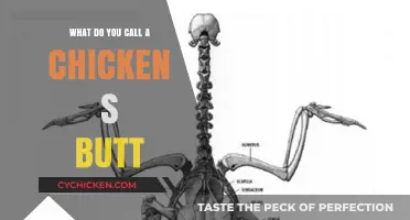 What’s the Proper Name for a Chicken’s Rear End?