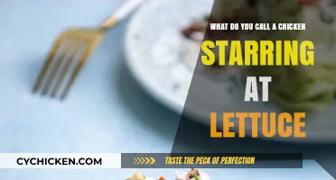 Chicken's Focus: The Lettuce Stare
